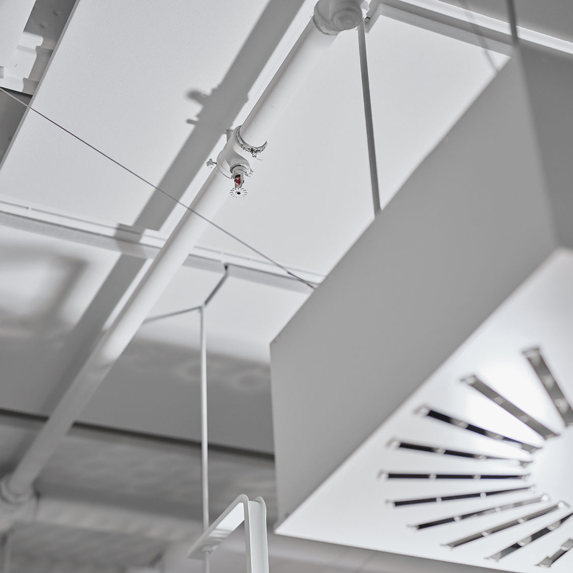 Argus Fire Protection Sprinkler Installed On White Ceiling