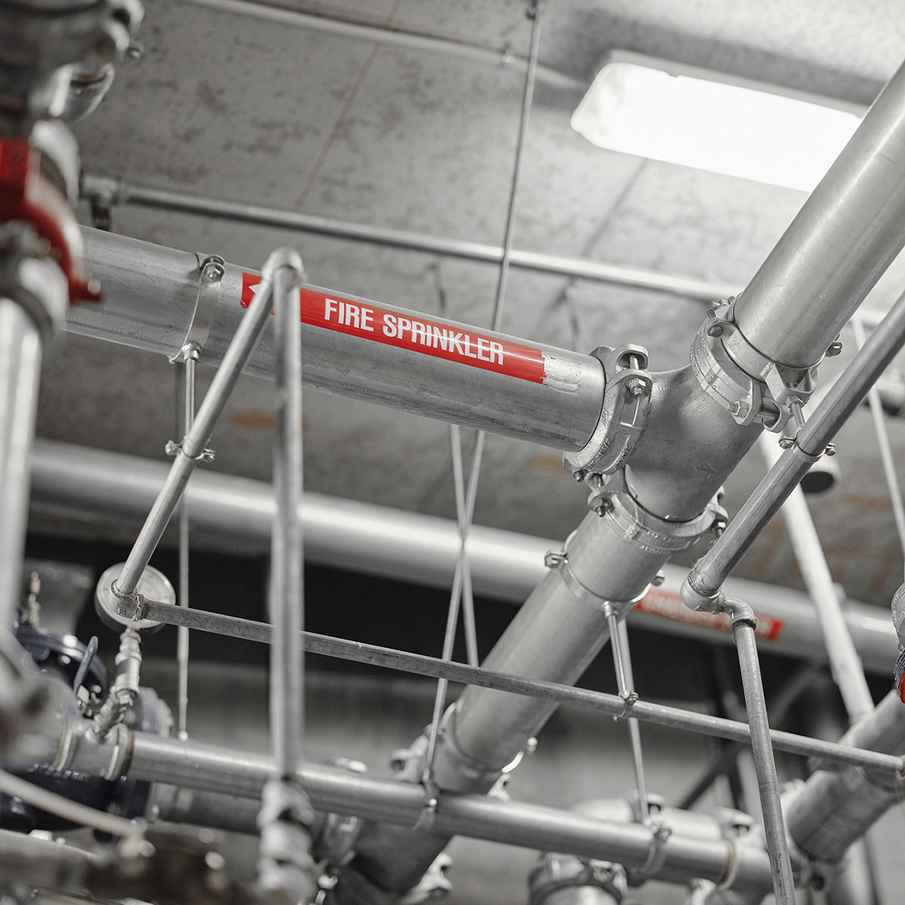 Argus Fire Protection Systems Fire Sprinkler Pipe Network